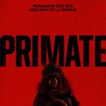 Primate